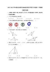 湖北省黄冈市麻城市部分学校2021-2022学年八年级上学期期中数学【试卷+答案】