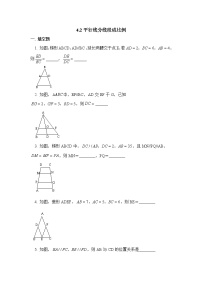 北师大版九年级上册2 平行线分线段成比例同步训练题