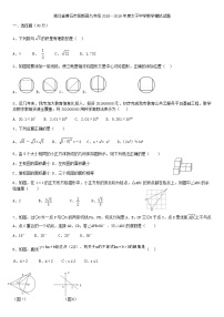 湖北省黄石市阳新县九年级2018—2019年度太子中学中考数学模拟试题