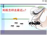 北师大版八年级数学上册 1.3 勾股定理的应用（课件）