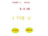 北师大版八年级数学上册 2.2 平方根（课件）