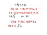 北师大版八年级数学上册 2.2 平方根（课件）