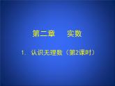 北师大版八年级数学上册 2.1  认识无理数2（课件）