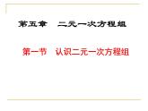 北师大版八年级数学上册 5.1 认识二元一次方程组(2)（课件）