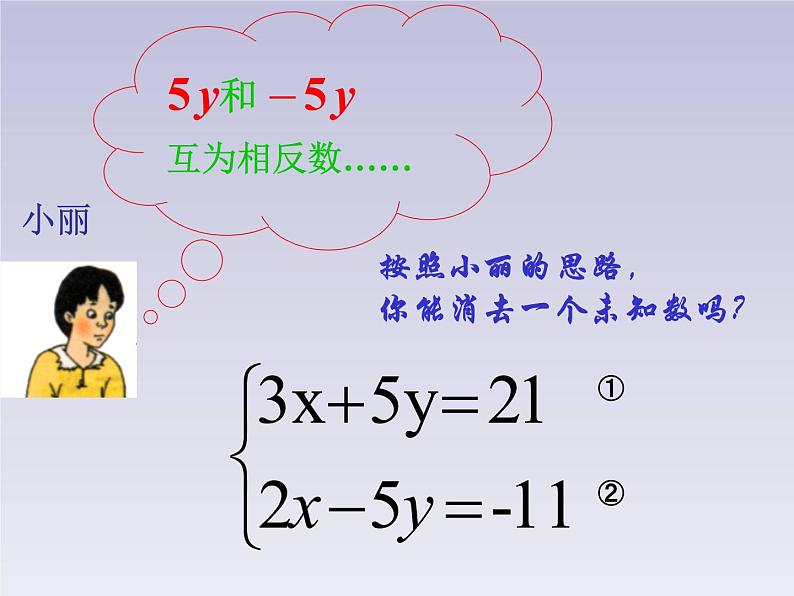 北师大版八年级数学上册 5.2 求解二元一次方程组（2）（课件）第6页