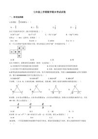 2021年四川省成都市郫都区七年级上学期数学期末考试试卷解析版