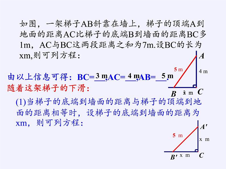 苏科版九年级数学上册 1.1 一元二次方程(13)（课件）第2页