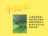 蘇科版九年級數(shù)學上冊 3.1 平均數(shù)_（課件）