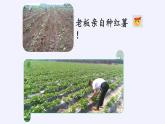 蘇科版九年級數(shù)學(xué)上冊 小結(jié)與思考(18)（課件）