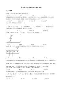 2021年河南省新乡市卫辉市七年级上学期数学期末考试试卷及答案