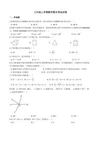 2021年广西壮族自治区北海市七年级上学期数学期末考试试卷及答案