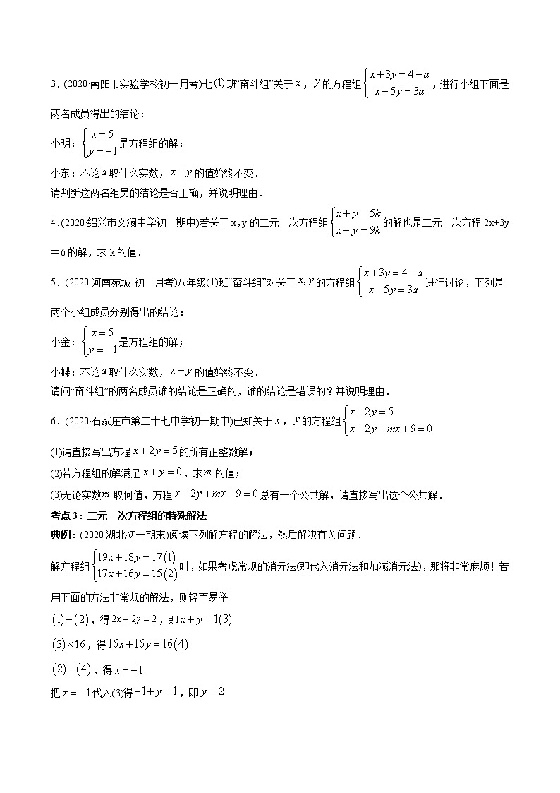 第08章 重点突破训练：二元一次方程组类型题举例-2021年初中数学七年级下册同步讲练（学生版）第3页