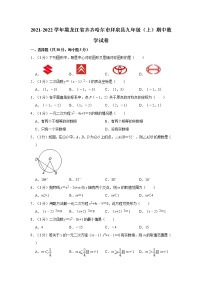 2021-2022学年黑龙江省齐齐哈尔市拜泉县九年级（上）期中数学试卷