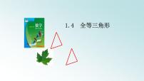 浙教版八年级上册第1章 三角形的初步知识1.4 全等三角形教学演示课件ppt