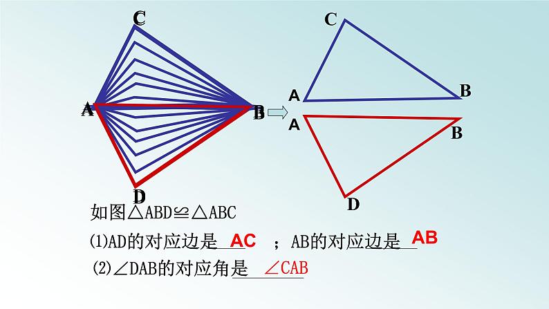 浙教版数学八年级上册 1.4 全等三角形（课件）第7页