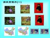 浙教版数学八年级上册 1.4 全等三角形_（课件）