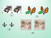 浙教版数学八年级上册 1.4 全等三角形_(1)（课件）