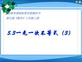 浙教版数学八年级上册 3.3 一元一次不等式(3) （课件）