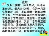 浙教版数学八年级上册 5.5 一次函数的简单应用（1） （课件）