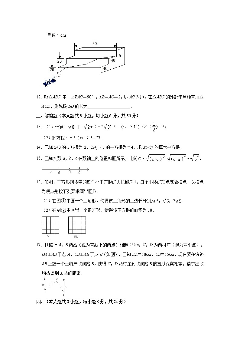 江西省吉安市2021-2022学年八年级上学期期中考试数学试卷（word版 含答案）02