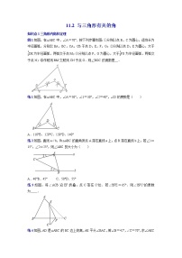 专题02 与三角形有关的角-2021-2022学年八年级数学上册专题考点专练（人教版） (2)