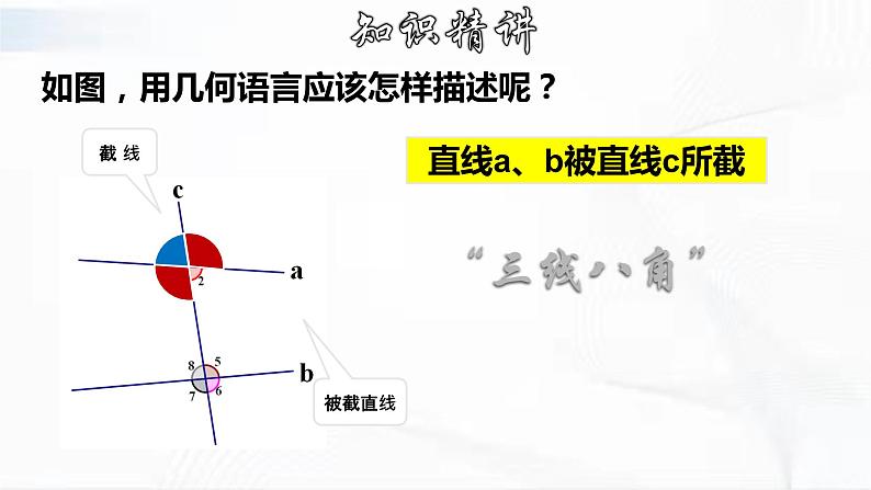 学年人教版数学七年级下册 第五章 第一节 相交线 第3课时 课件第4页