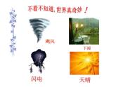 人教版九年级上册数学课件：25.1.1-随机事件（共27张PPT）