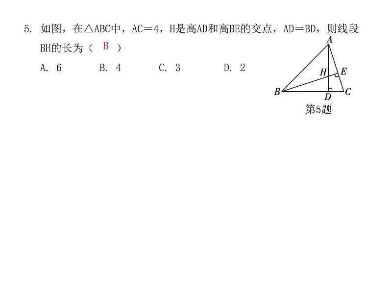 全等三角形  专题训练课件  2021---2022学年 人教版八年级数学上册04