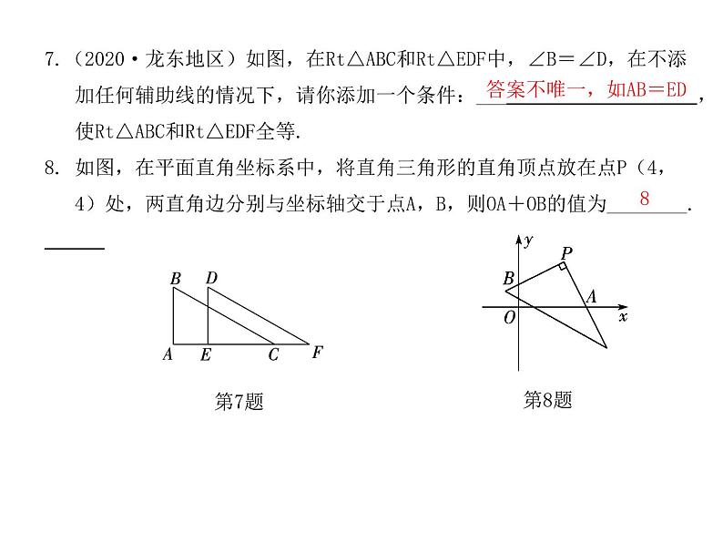 全等三角形  专题训练课件  2021---2022学年 人教版八年级数学上册06