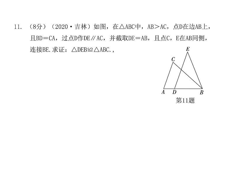 全等三角形  专题训练课件  2021---2022学年 人教版八年级数学上册08