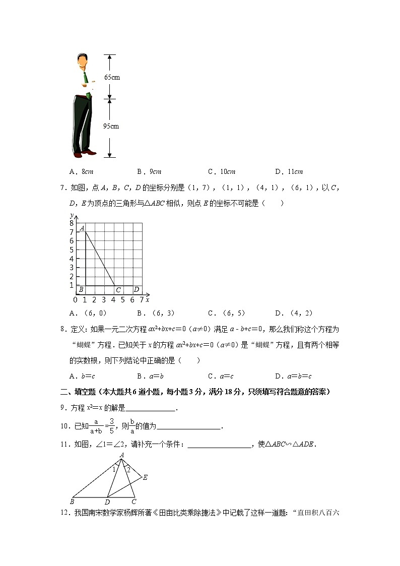 湖南省张家界市桑植县2020-2021学年七年级上学期期中考试数学试题(word版含答案)02
