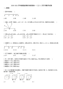 2020-2021学年湖北省荆州市某校初一（上）1月月考数学试卷