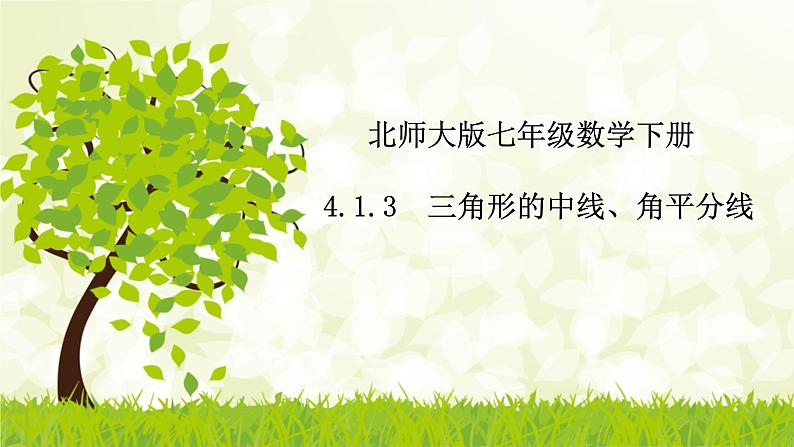 北师大版七年级数学下册 4.1.3  三角形的中线、角平分线课件+练习01