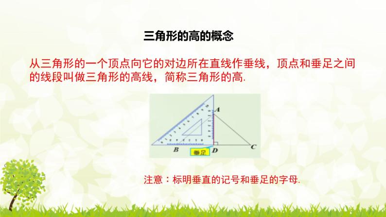 北师大版七年级数学下册 4.1.4  三角形的高线 课件+练习07
