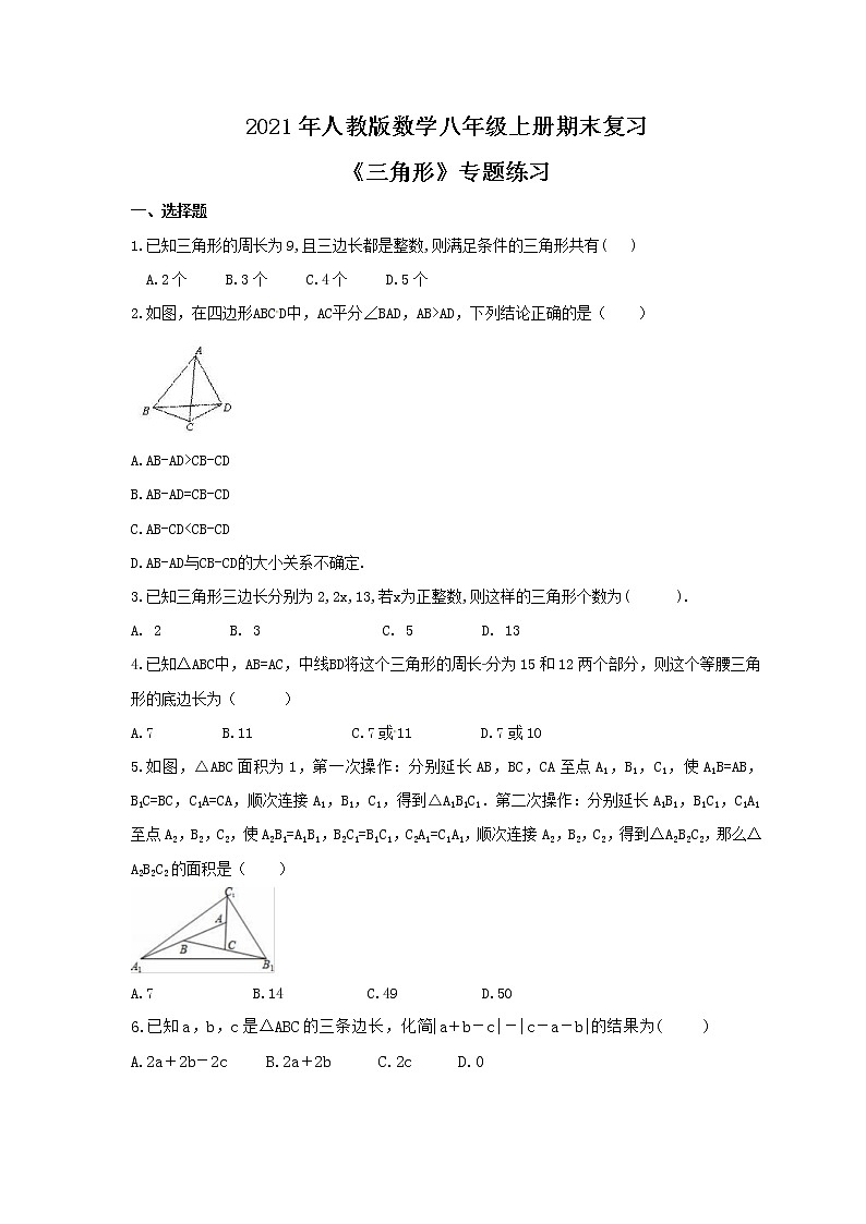 期末复习《第十一章 三角形》专题练习 2021-2022学年人教版数学八年级上册第1页