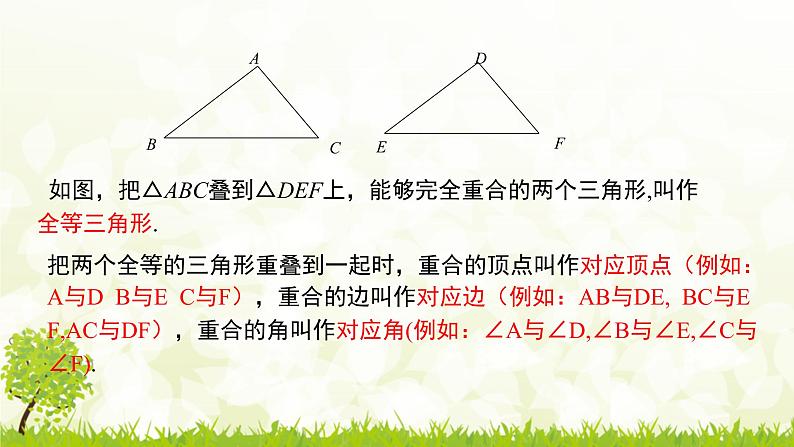 北师大版七年级数学下册 4.2 图形的全等课件+练习08