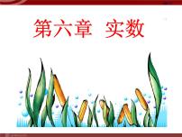 人教版七年级下册第六章 实数6.1 平方根示范课课件ppt