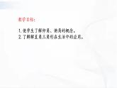 人教版数学九年级下册 第二十八章 第二节 解直角三角形及其应用 第1课时 课件