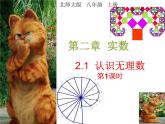 2021-2022学年度北师版八年级数学上册课件 2.1 认识无理数（第1课时）2