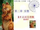 2021-2022学年度北师版八年级数学上册课件2.1 认识无理数（第2课时）2