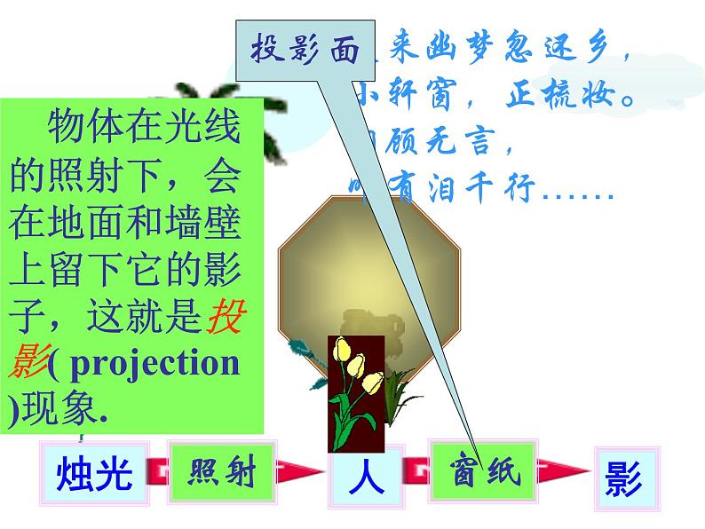 2021-2022学年度北师版九年级数学上册课件 5.1投影（第1课时）第2页