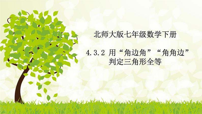 北师大版七年级数学下册 4.3.2   用“角边角”“角角边”判定三角形全等 课件+练习01