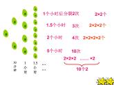 2021-2022学年度北师大版七年级数学上册课件 2.9 有理数的乘方 2