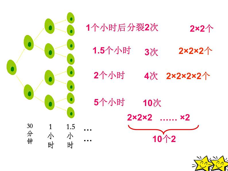 2021-2022学年度北师大版七年级数学上册课件 2.9 有理数的乘方 2第4页