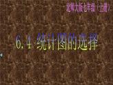 2021-2022学年度北师大版七年级数学上册课件6.4 统计图的选择