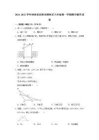 河南省信阳市浉河区2021-2022学年八年级上学期期中考试数学试卷（Word版含答案）