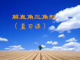 浙教版数学九年级下册  1.3 解直角三角形 课件+教案