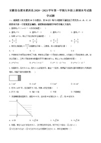 2020-2021学年沪科版安徽省合肥市肥西县九年级数学上学期期末考试试卷