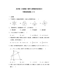 九年级数学上册期末综合复习专题提优训练（无答案） (1)