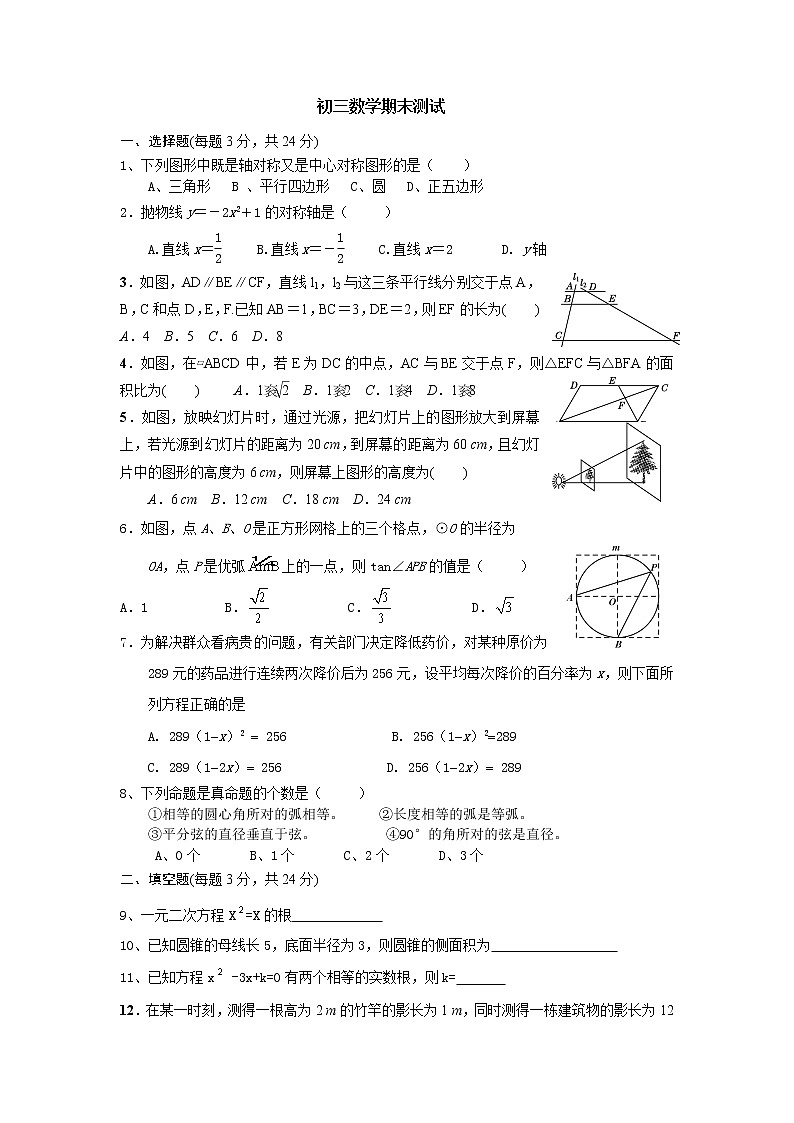 辽宁省沈阳市第九十九中学2019年初三数学期末试卷（无答案）01